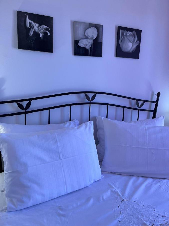 Apartman Gorana With Swimming Pool Jelsa  Bagian luar foto